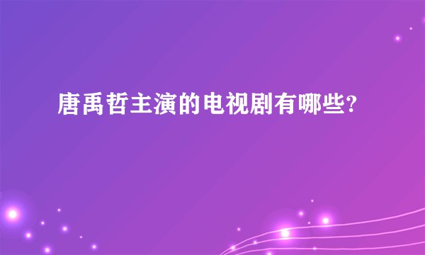 唐禹哲主演的电视剧有哪些?