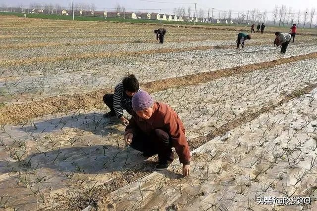 大连疫情，那些把大连湾和大连分开说的都咋想的？