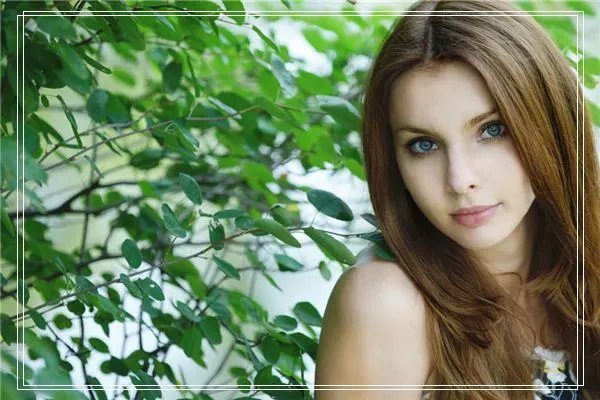 梦见武安教师吧