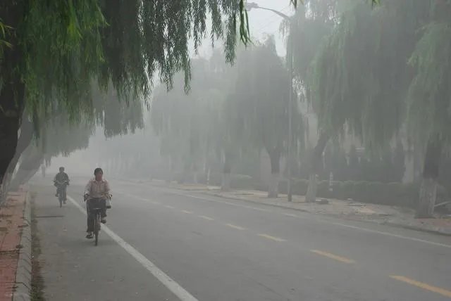 2021年，三伏天什么时候开始？几月份入伏？