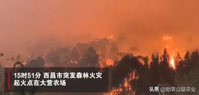凉山再发山火，142人彻夜救援，系71岁村民烧包谷杆引发，已被警方控制，你怎么看？