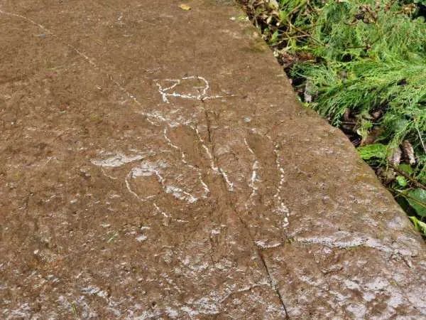 四川5岁男童发现了恐龙足迹，他是咋断定这是恐龙足迹的？