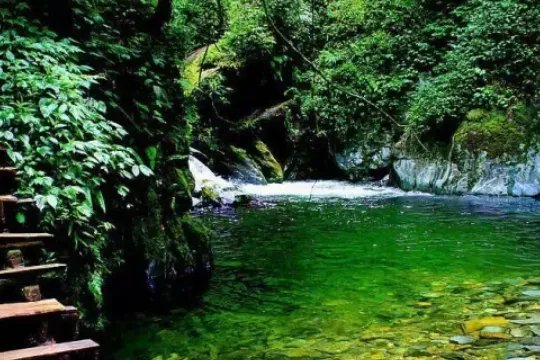 葫芦丝十大名曲有哪些