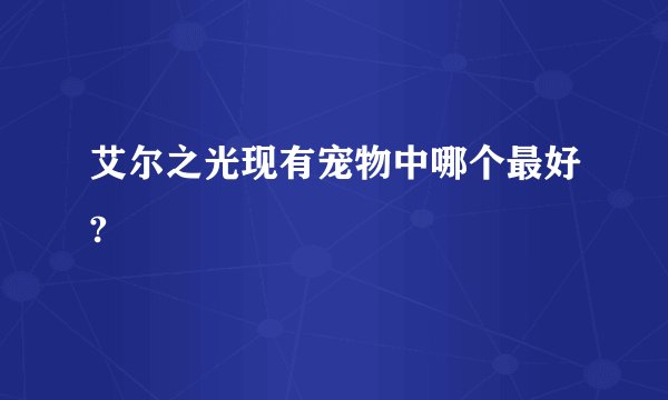 艾尔之光现有宠物中哪个最好?