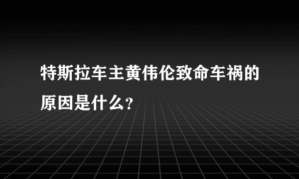 特斯拉车主黄伟伦致命车祸的原因是什么？