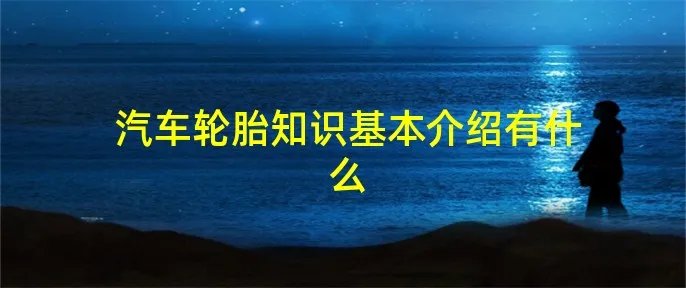 汽车轮胎知识基本介绍有什么
