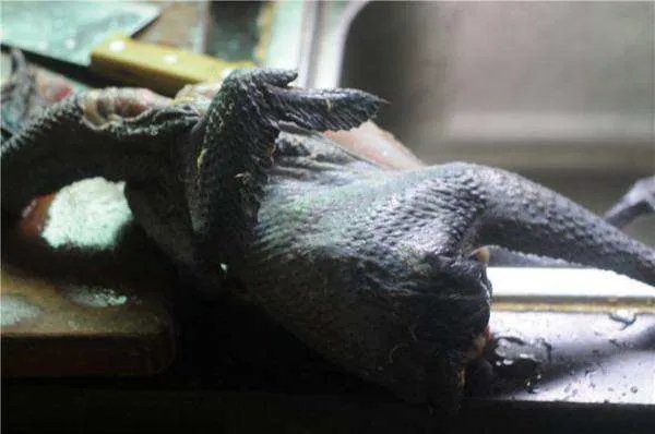 鸡的做法大全家常菜做法