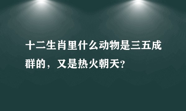 十二生肖里什么动物是三五成群的，又是热火朝天？