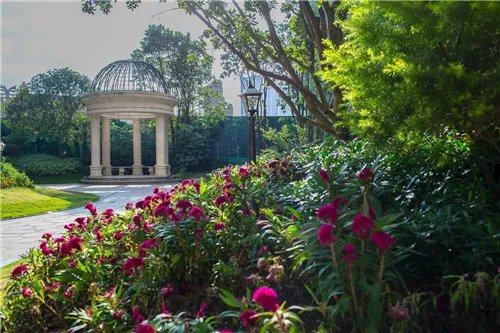 南宁最贵的房子 南宁最高价位的楼盘