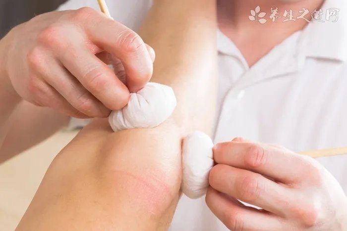 忍冬是金银花的学名是不是