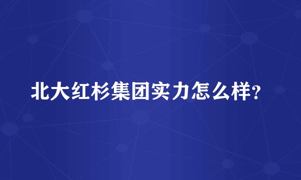 北大红杉集团实力怎么样？