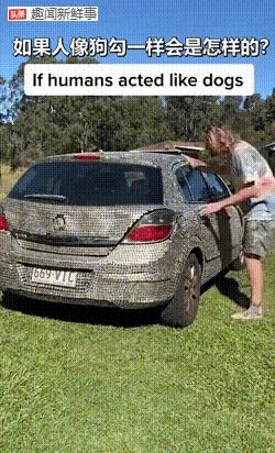 顶级车模报价多少？网红届魑魅魍魉的动态图