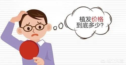 鲁尼植发大概花了多少钱？