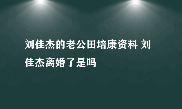 刘佳杰的老公田培康资料 刘佳杰离婚了是吗