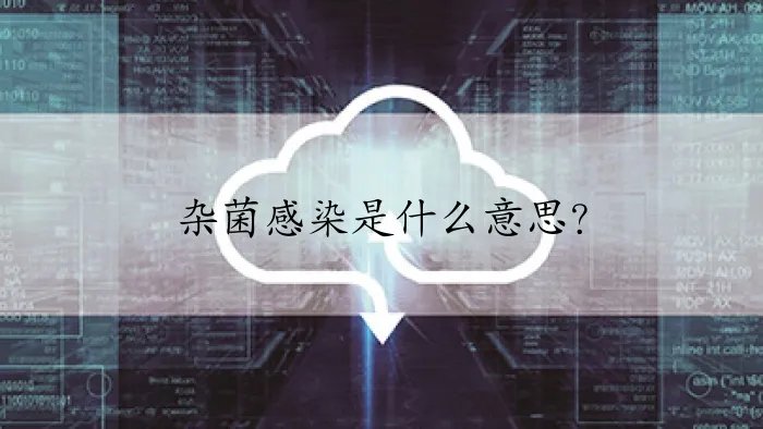 杂菌感染是什么意思？