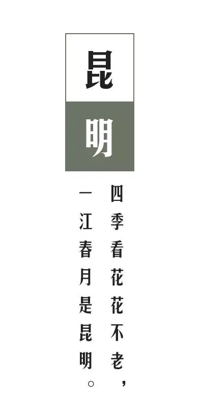 昆明万物｜自然而然，天生万物