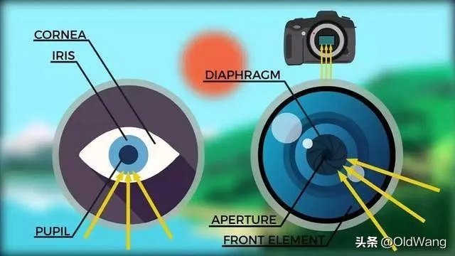 苹果手机1200万像素真的吊打4000万像素的专业相机吗?
