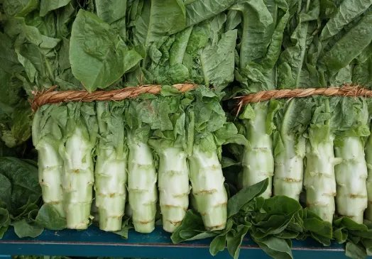 莴苣的别名是什么？