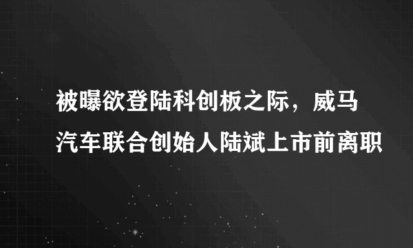 被曝欲登陆科创板之际，威马汽车联合创始人陆斌上市前离职