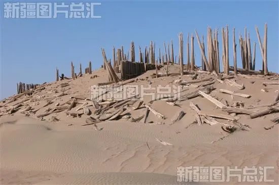 小河墓地的考古历史