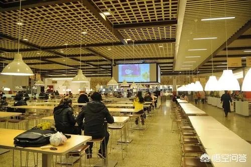 今年什么行情，鸡蛋跌回几年前的价格了，鸡蛋成了白菜价？