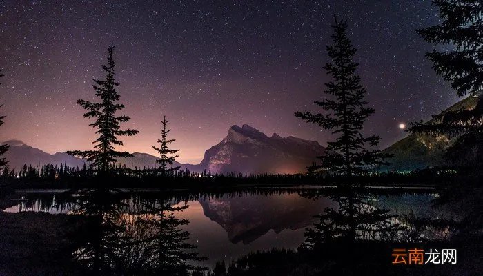 清华大学 杨燕绥简介 清华有杨燕绥名声扫地