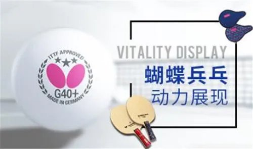 蝴蝶球拍品牌介绍  蝴蝶球拍的产品分类