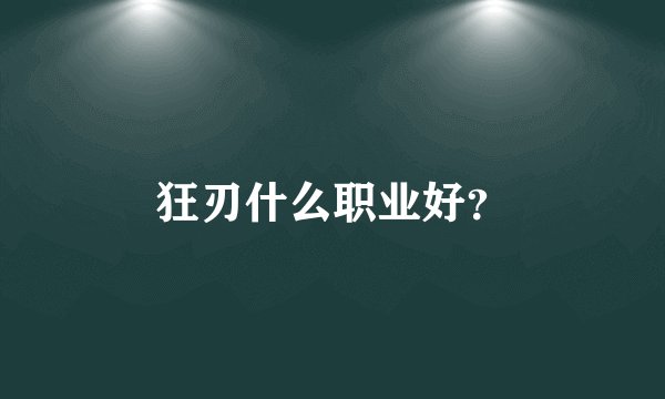 狂刃什么职业好？