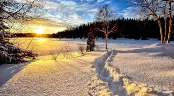 农历冬月是几月呀