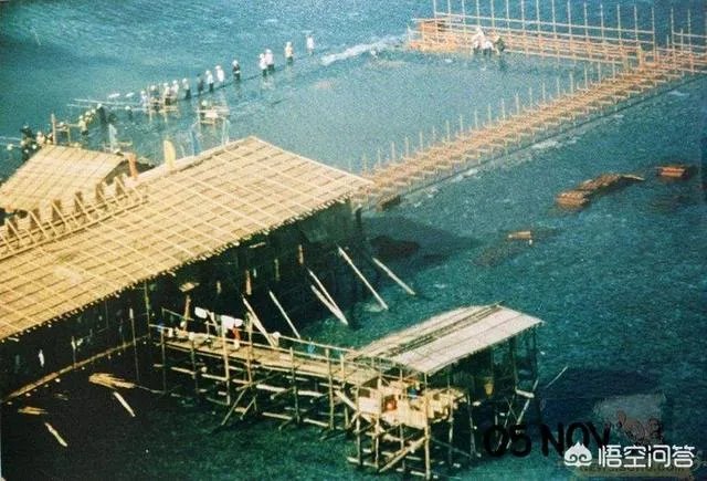 哪些战机可以接替歼-8II完成守卫海空的使命？