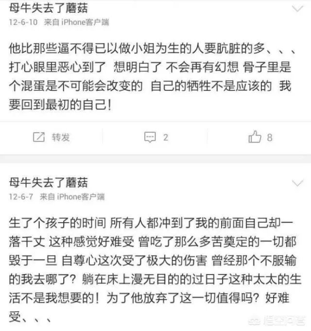 如何评价张檬？