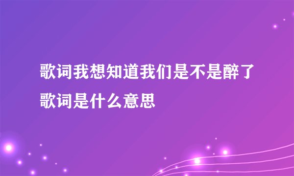 歌词我想知道我们是不是醉了歌词是什么意思