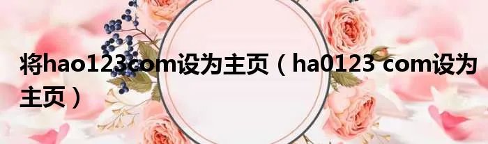 将hao123com设为主页（ha0123 com设为主页）
