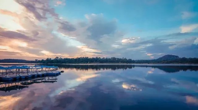 昆明万物｜自然而然，天生万物