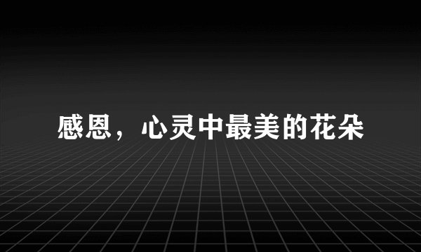 感恩，心灵中最美的花朵