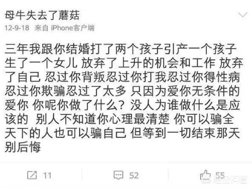 如何评价张檬？