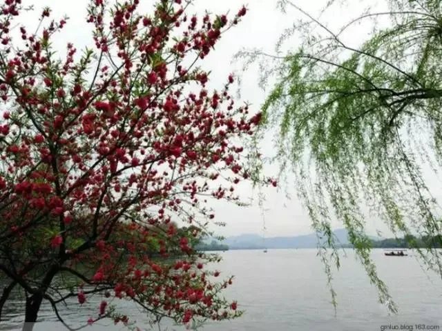 南京南站一男子被高铁列车夹站台身亡,应该怪谁?