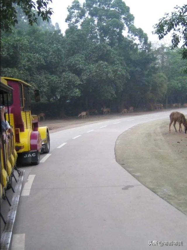广州从化适合一个人去的地方