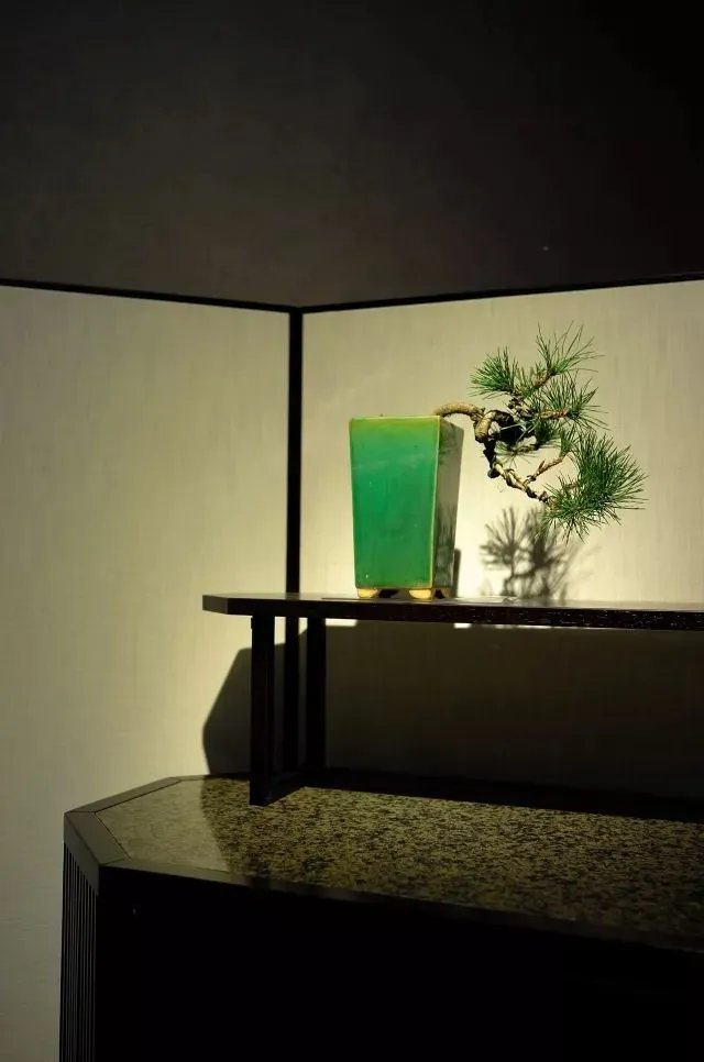 昆明万物｜自然而然，天生万物