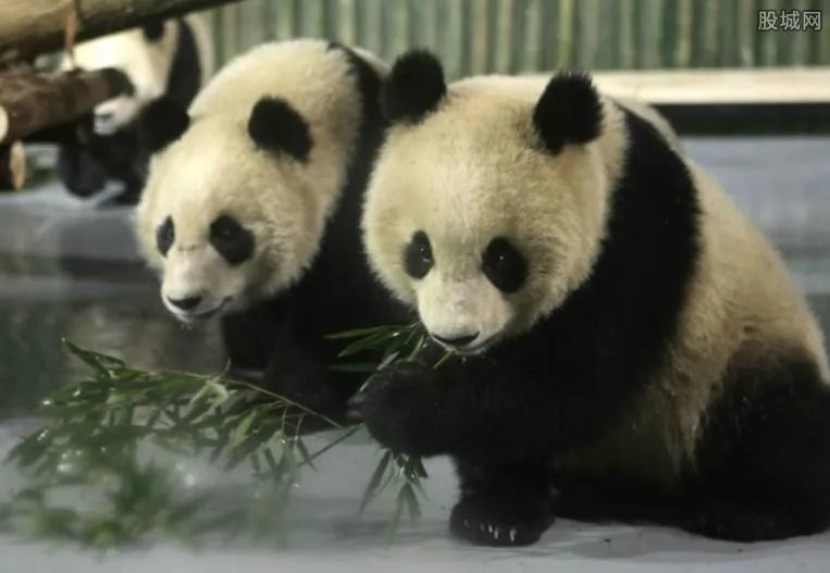 北京动物园门票价格 2017北京动物园门票多少钱