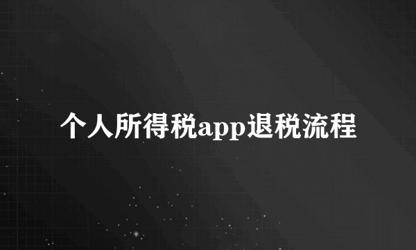 个人所得税app退税流程