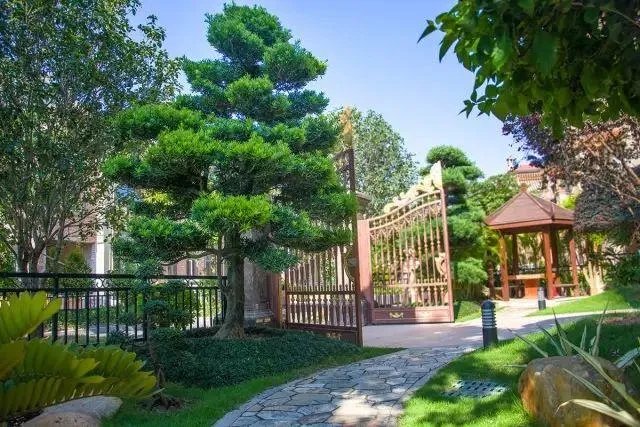 深圳1000万的房子，出租大约要多少钱？