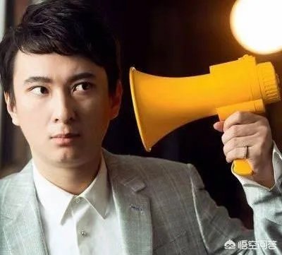 如何评价王思聪这个人?