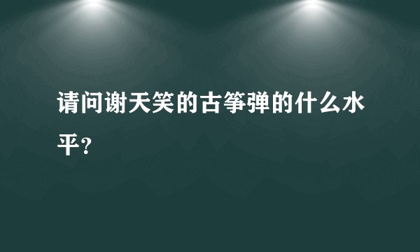 请问谢天笑的古筝弹的什么水平？