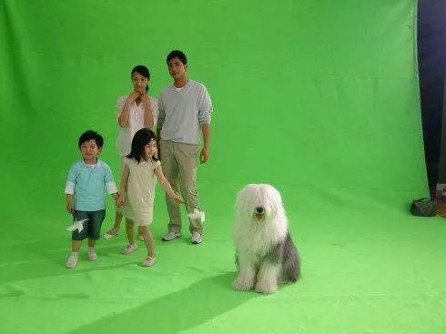 多乐士广告里的是什么品种的狗啊？