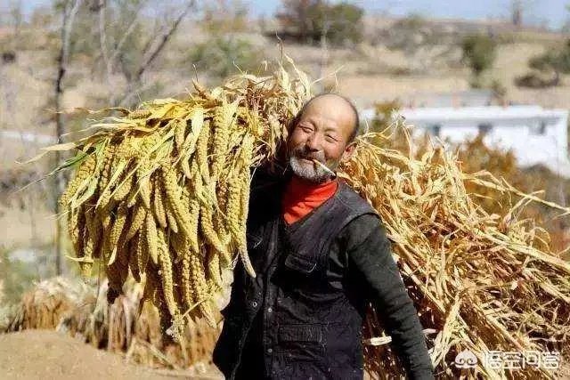 对农村的高龄老人国家有什么津贴补偿或政策？