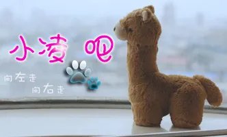 最喜欢徐良和小凌了，徐良的女朋友到底是谁啊？