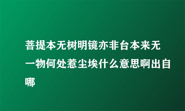 菩提本无树明镜亦非台本来无一物何处惹尘埃什么意思啊出自哪