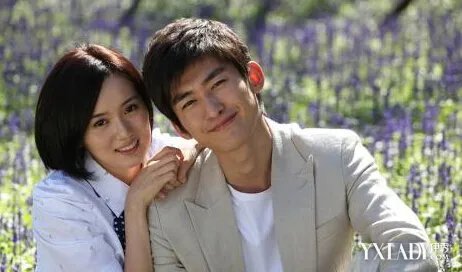 江铠同打郑爽的原因揭秘江铠同郑爽与张翰的那点事