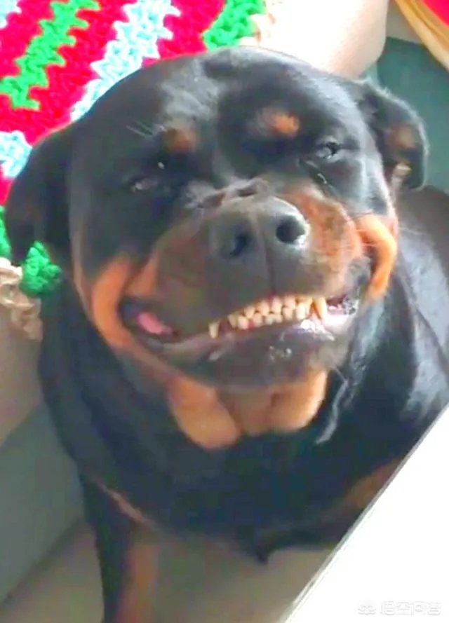 个人防身有哪些好办法和好器材？